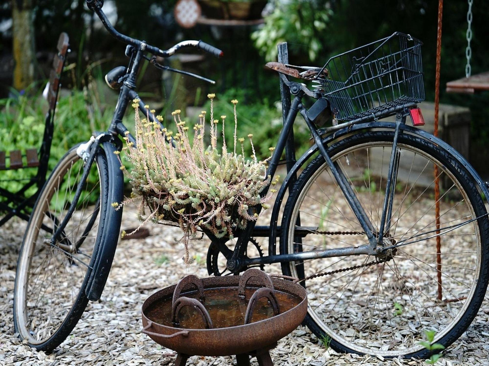 Usedom Bike Hotel & Suites Karlshagen Exteriér fotografie